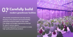 vegetable container farming