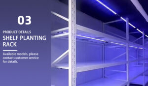 Greenhouse Solutions