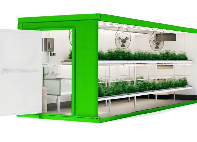 vegetable container farming