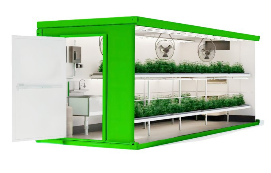 vegetable container farming