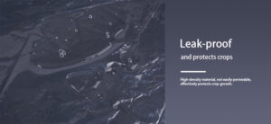 Greenhouse Films Wholesale Greenhouse Films Wholesale