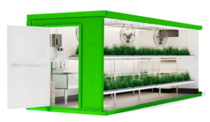 Shipping container growing systems