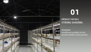 light-blocking greenhouse film light-blocking greenhouse film