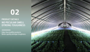 light-blocking greenhouse film light-blocking greenhouse film