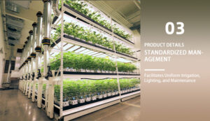 plant rack plant rack