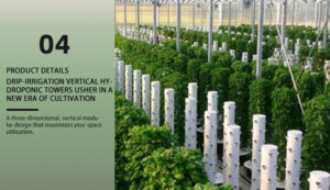 Vertical growth kit for indoor vegetables