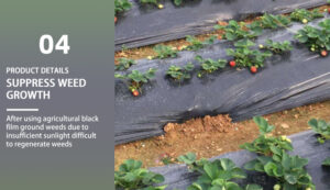 Blackout greenhouse films Blackout greenhouse films