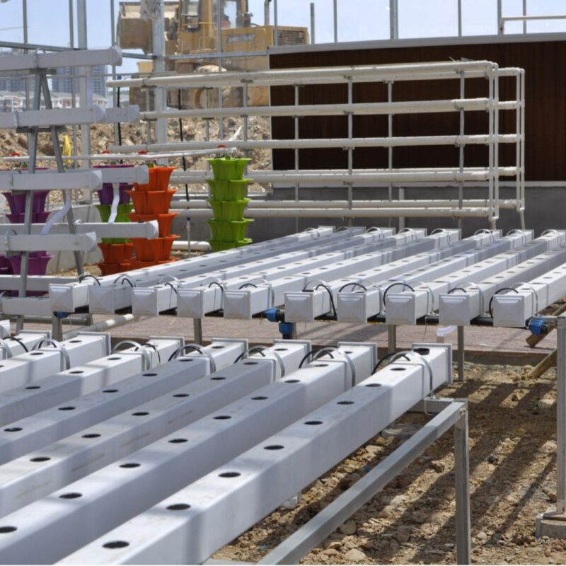 hydroponic NFT system