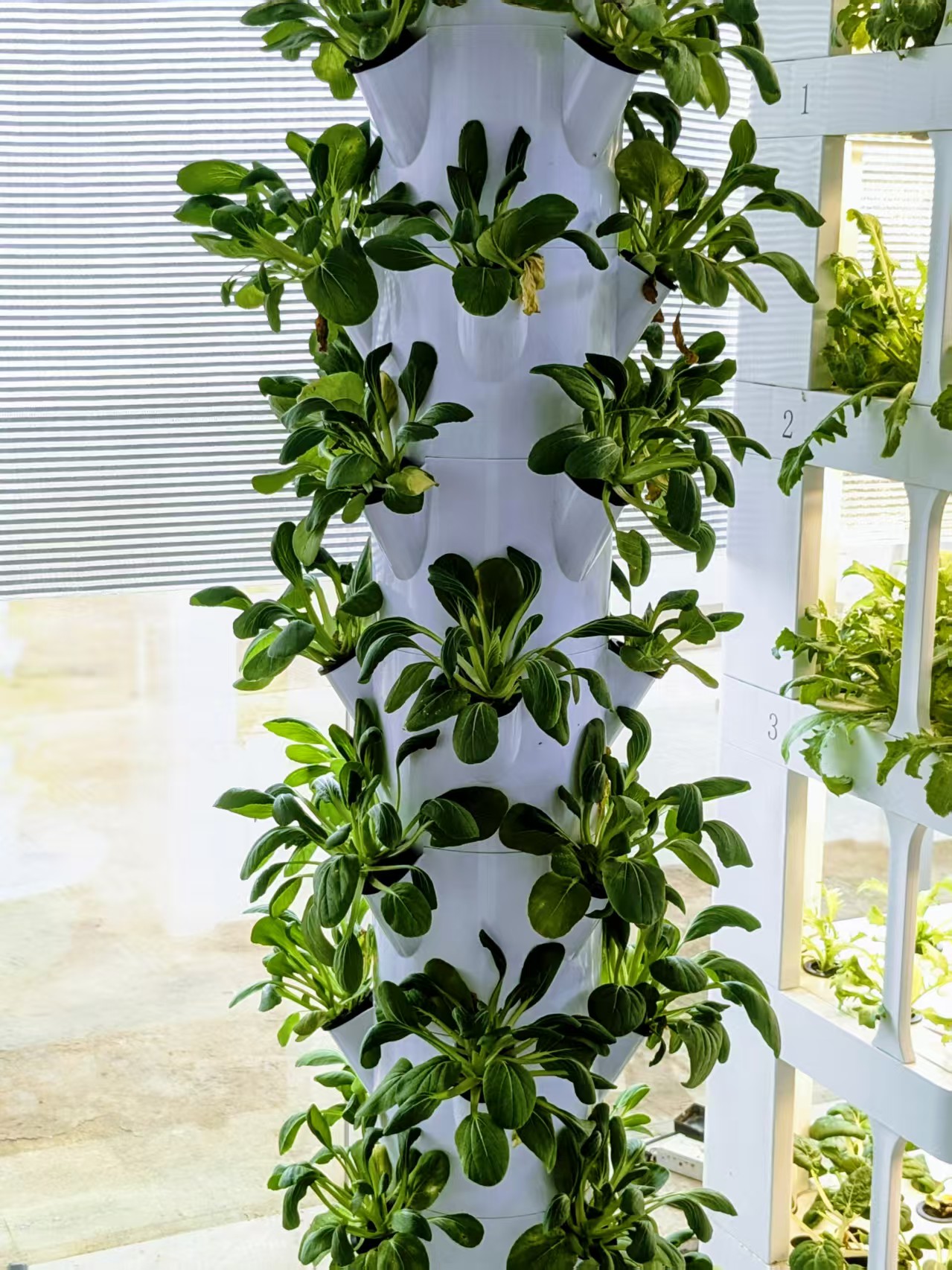 hydroponic tower system