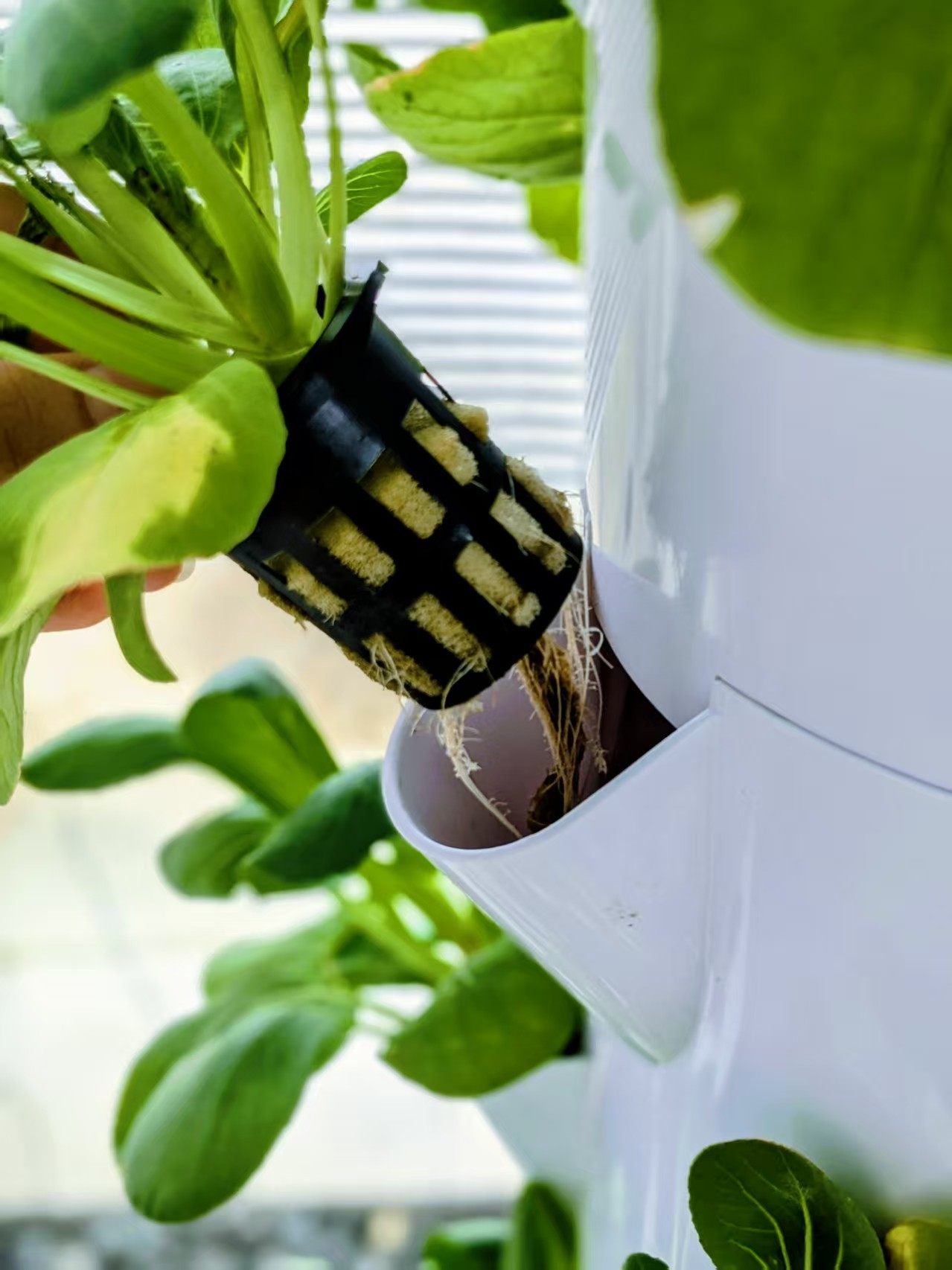 hydroponic tower system