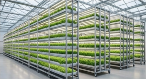 Greenhouse Seedbed Systems