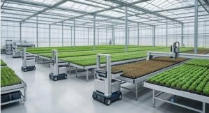 Greenhouse Seedbed Systems