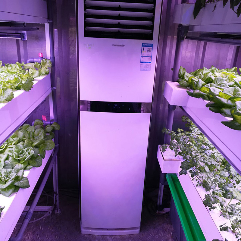 container growing system