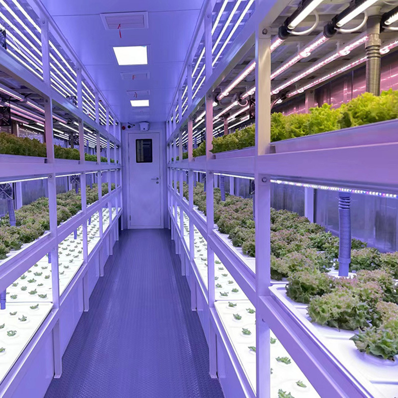 container growing system