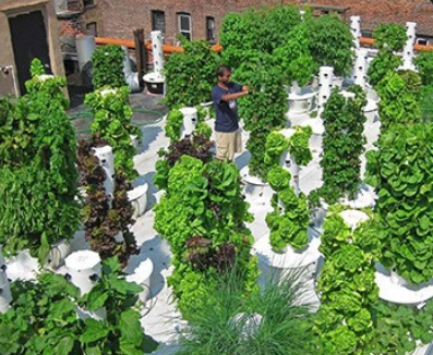 hydroponic systems