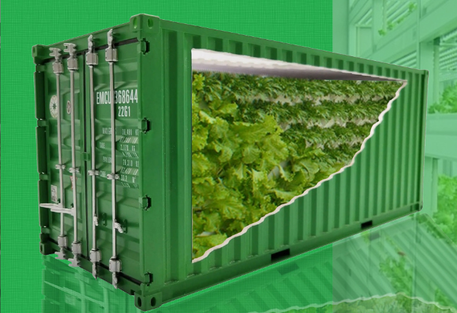 container growing systems