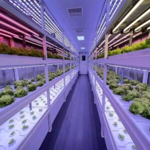 Plant Container Growing Systems Plant Container Growing Systems