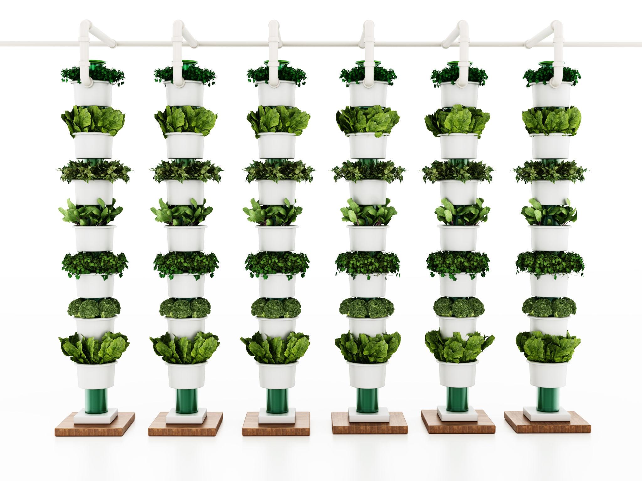 Plant Container Growing Systems