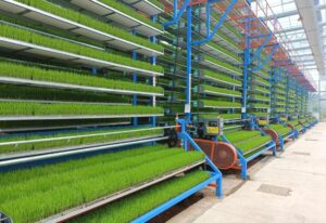 Forage Container Growing Systems Discover Forage Container Growing Systems for sustainable livestock feed production. Improve water efficiency, reduce labor costs, and achieve year-round fresh forage cultivation.