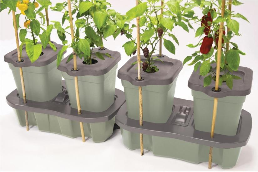 Plant Container Growing Systems