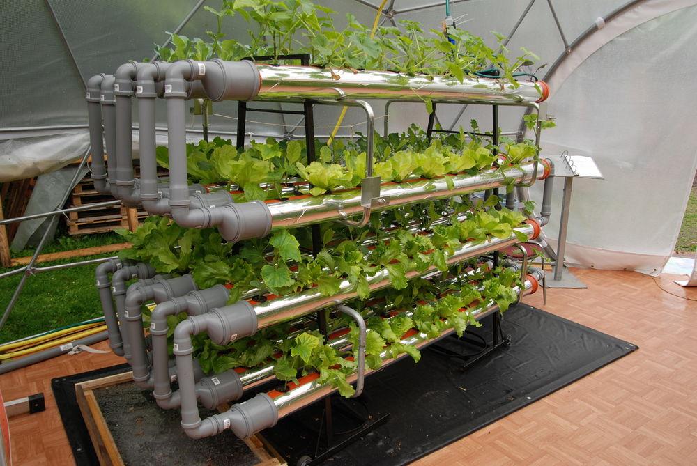 Plant Container Growing Systems
