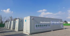 Controlled Indoor Mushroom Farming