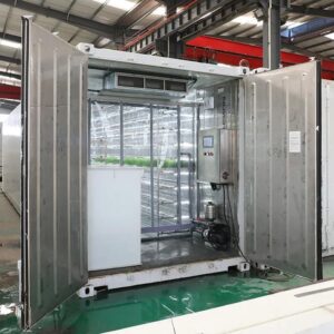 Discover Forage Container Growing Systems for sustainable livestock feed production. Improve water efficiency, reduce labor costs, and achieve year-round fresh forage cultivation.