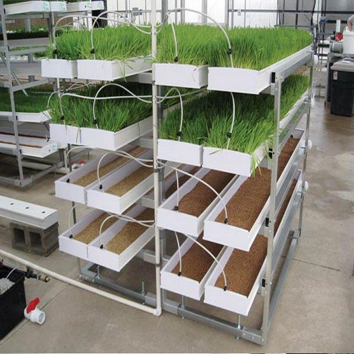 Plant Container Growing Systems