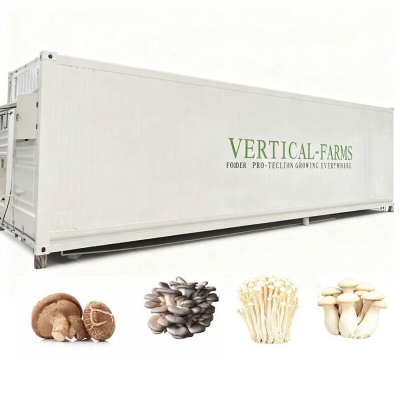 Mushroom Farming