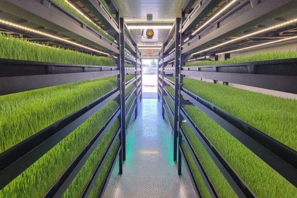 Forage Container Growing Systems