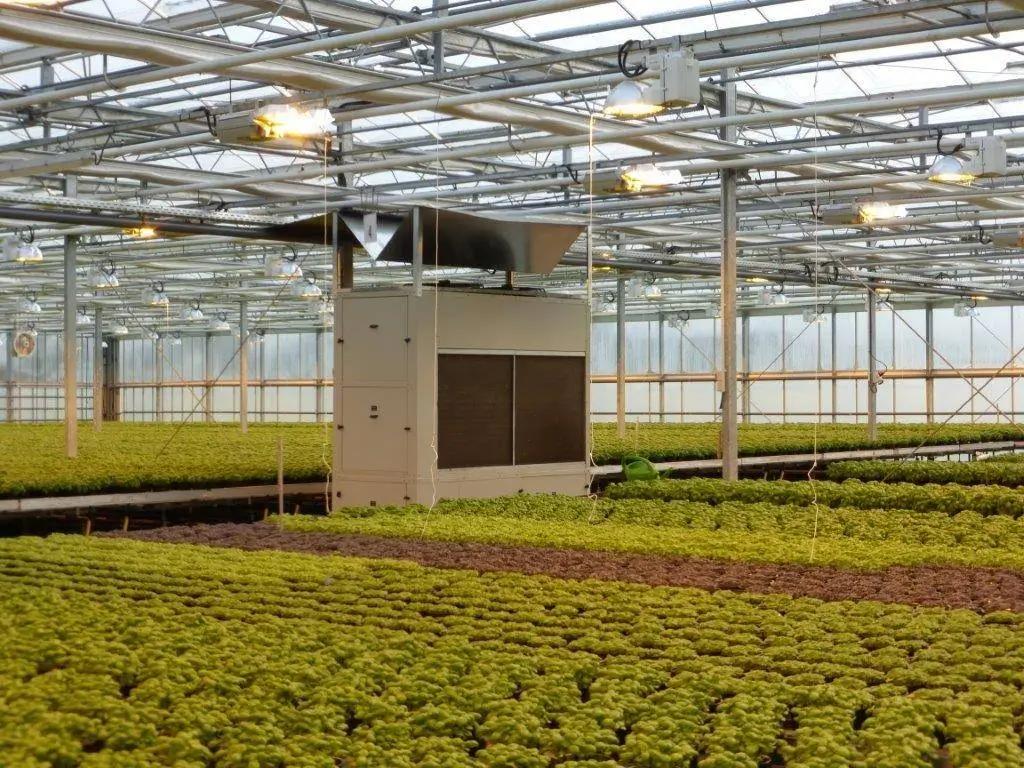 grow room dehumidifier system