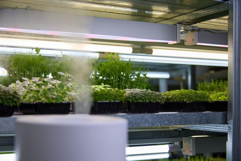 grow room humidification system