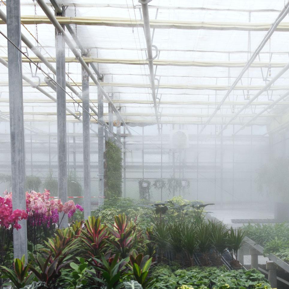 grow room humidification system