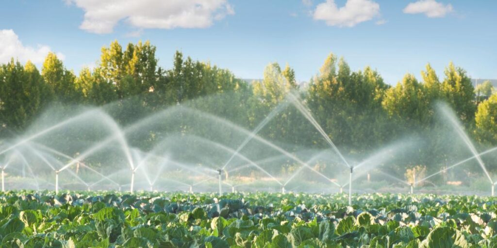 Commercial Sprinkler Irrigation System
