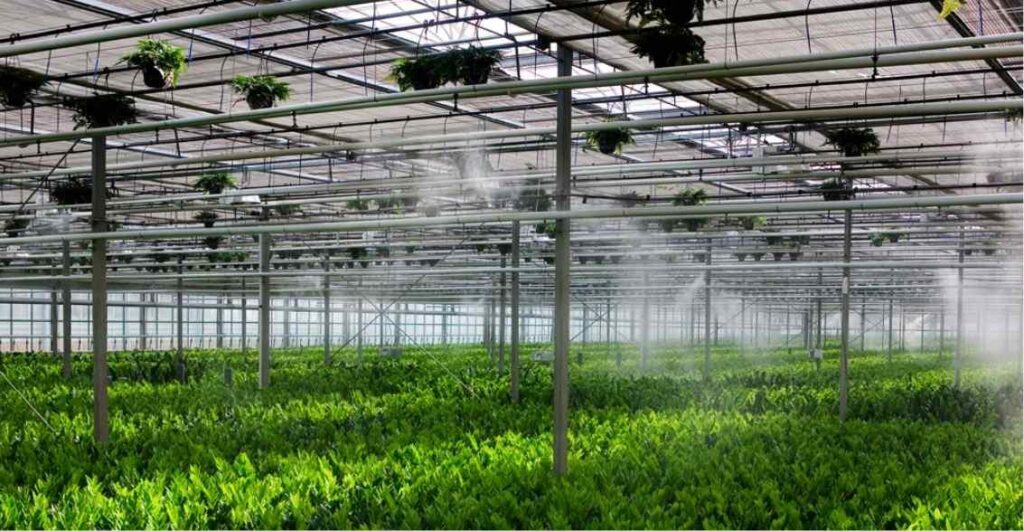 grow room humidification system