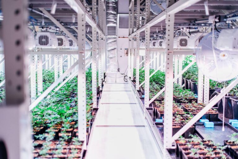 grow room air conditioning system