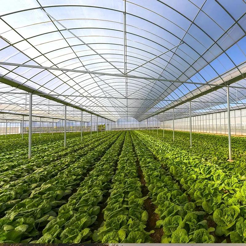 commercial greenhouse film