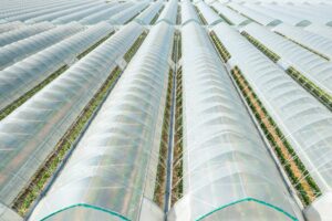 commercial greenhouse film