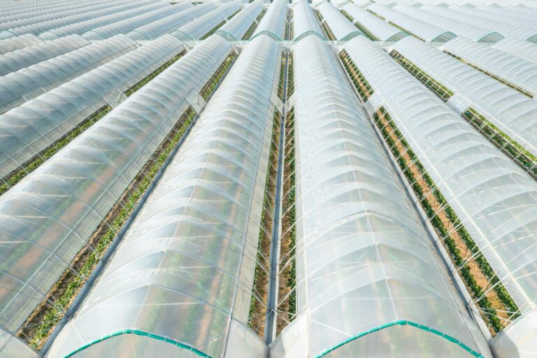 commercial greenhouse film