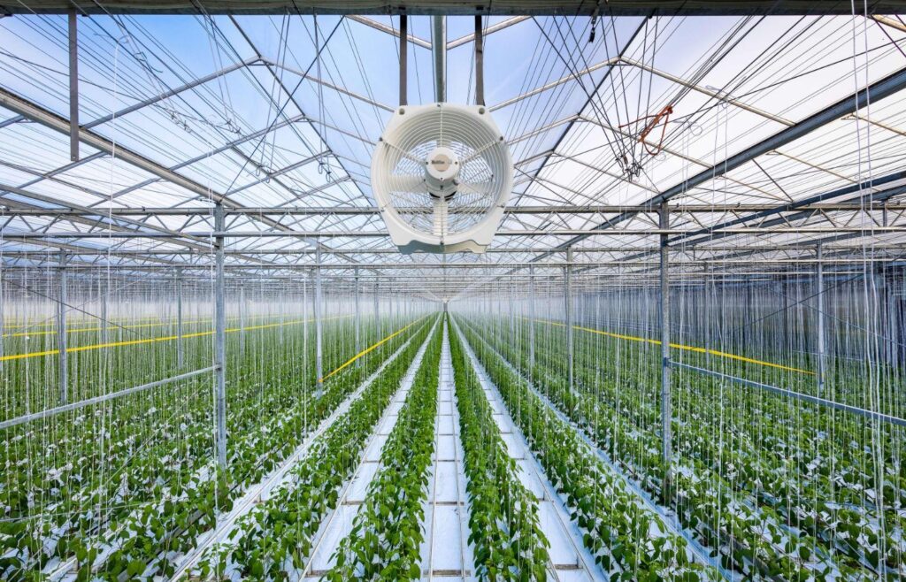 greenhouse ventilation system