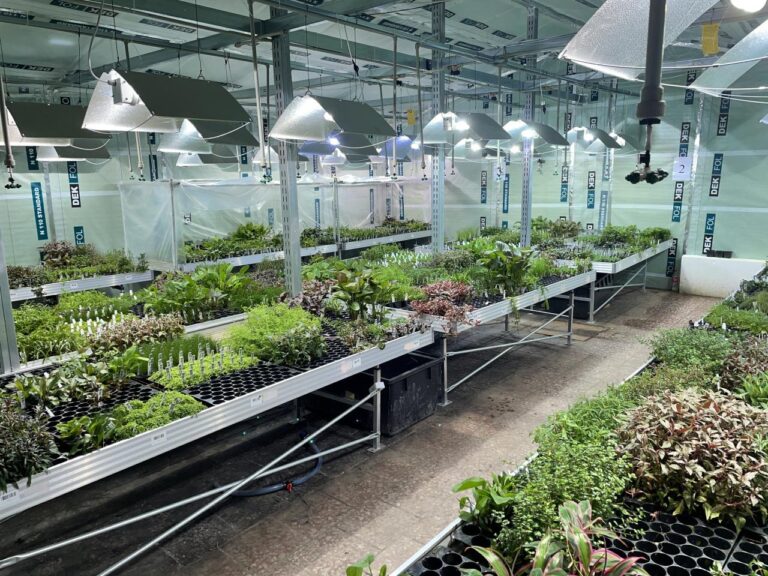 indoor plant container growing system