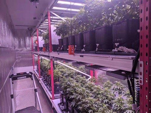 hemp container farming system