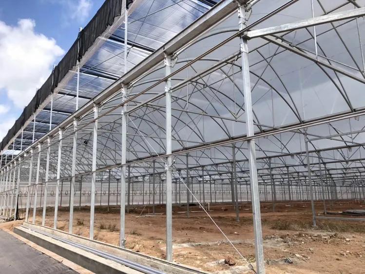 Commercial Greenhouse Frame Kits
