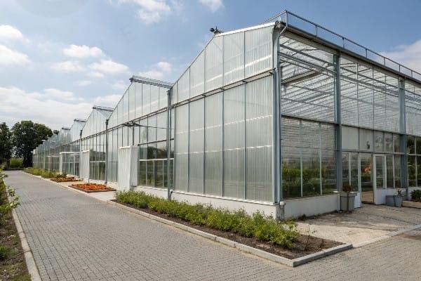 Polycarbonate Greenhouse Panels