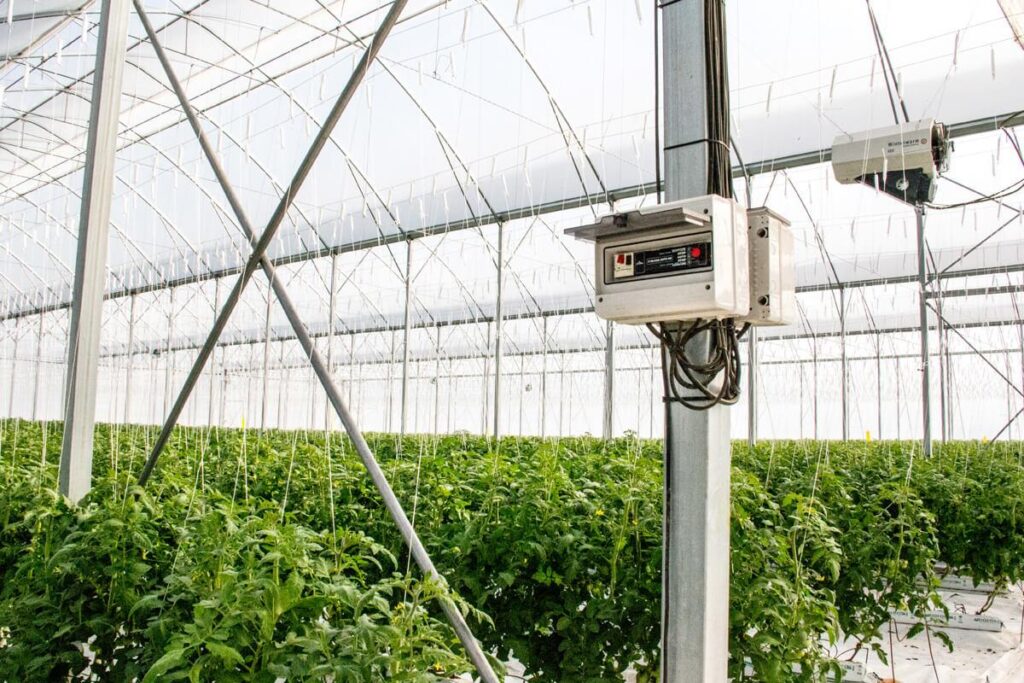 greenhouse cooling system