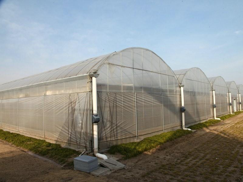 commercial greenhouse film