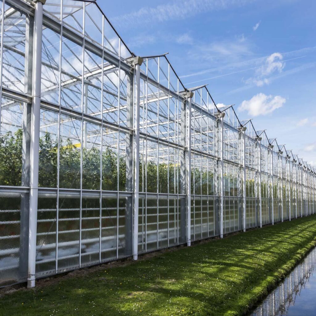 Commercial Greenhouse Frame Kits