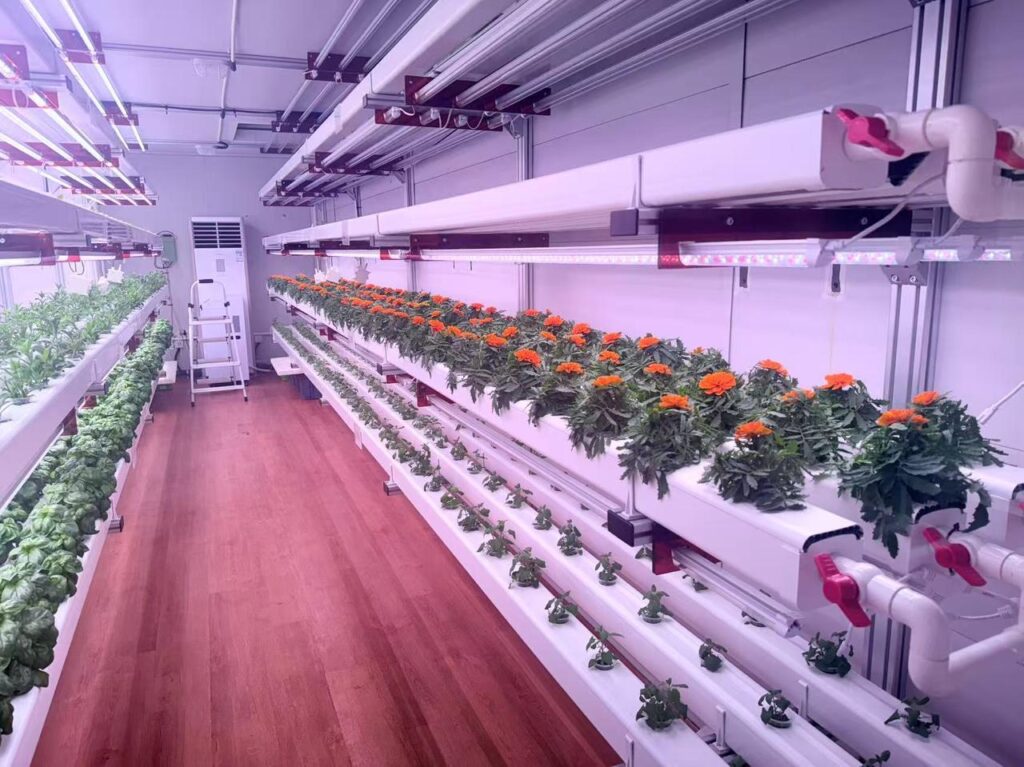 indoor plant container growing system
