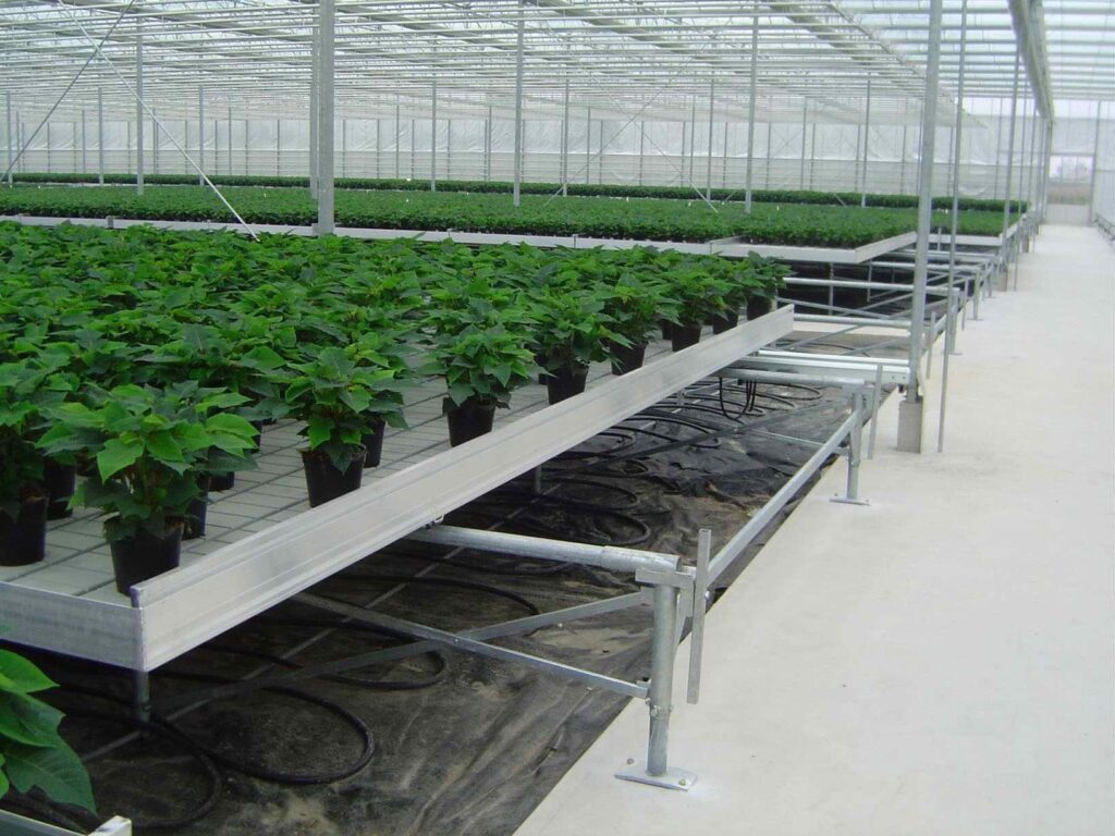 indoor plant container growing system