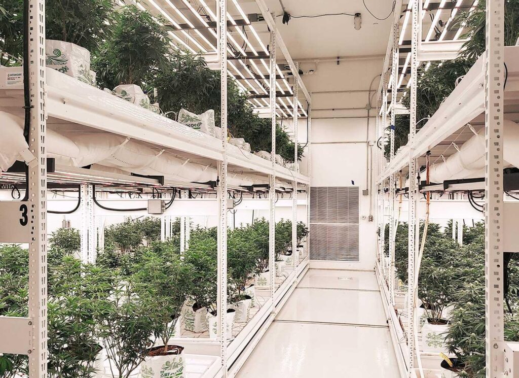 hemp container farming system